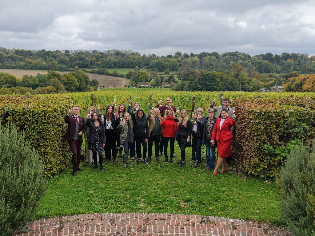 Hambledon wine vineyard