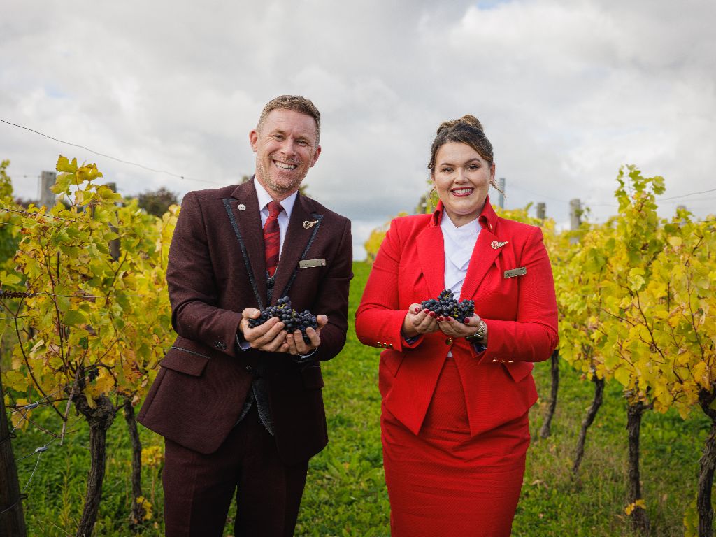 Hambledon wine vineyard with crew holding grapes