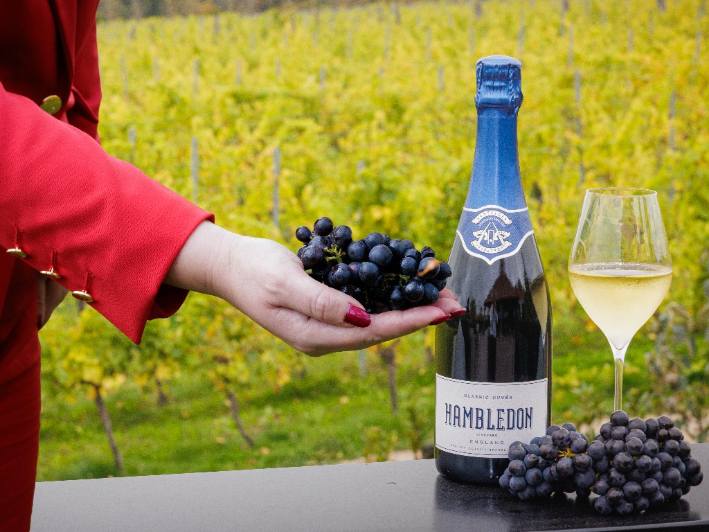 Crew hand holding grapes next to Hambledon wine